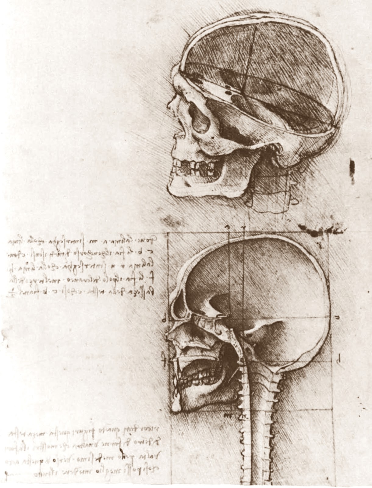 Leonardo+da+Vinci-1452-1519 (759).jpg